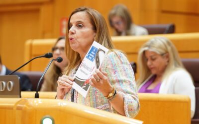 El PP exige al Gobierno una batería de medidas con bajadas de impuestos para mejorar la economía de los españoles