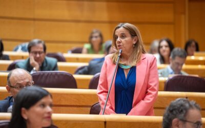 Del Brío al ministro Cuerpo: “La ausencia de independencia en el ejercicio del cargo es una puerta abierta a la corrupción”