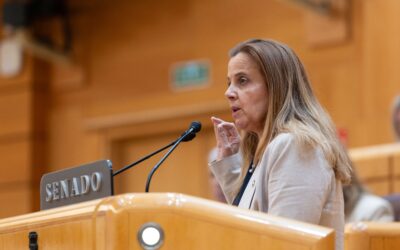El PP critica la intromisión del Gobierno en la Ley de los seguros de vehículos a motor con “enmiendas intrusas” que retrasan su aprobación