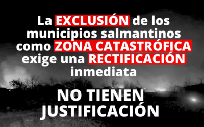 El PP afirma que los socialistas no tienen manera de justificar la exclusión de los municipios salmantinos